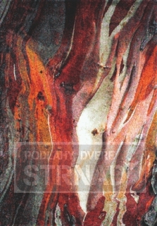 Kusový koberec Rust Red 21304/910 240 x 340 cm