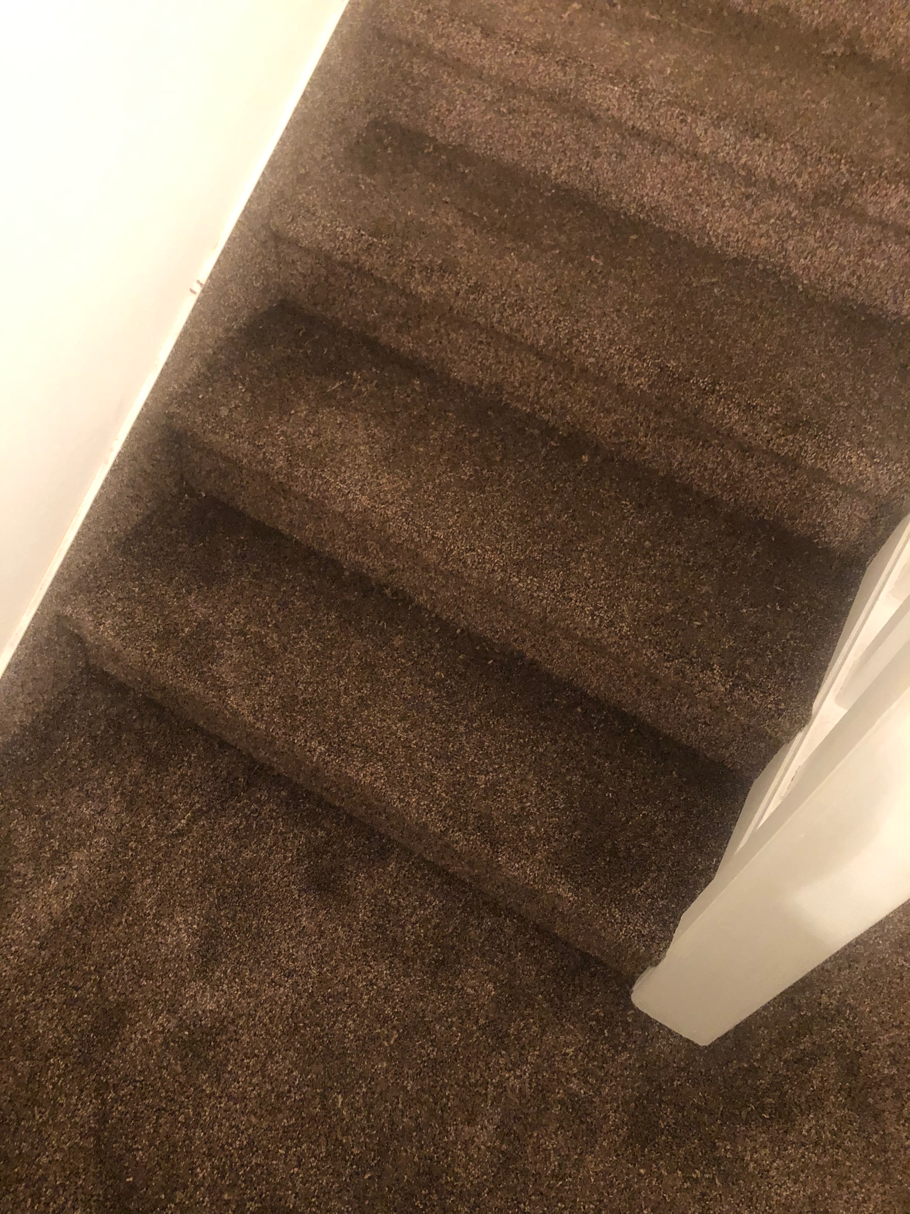schody koberec
