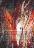 Kusový koberec Rust Red 21304/910 200 x 290cm