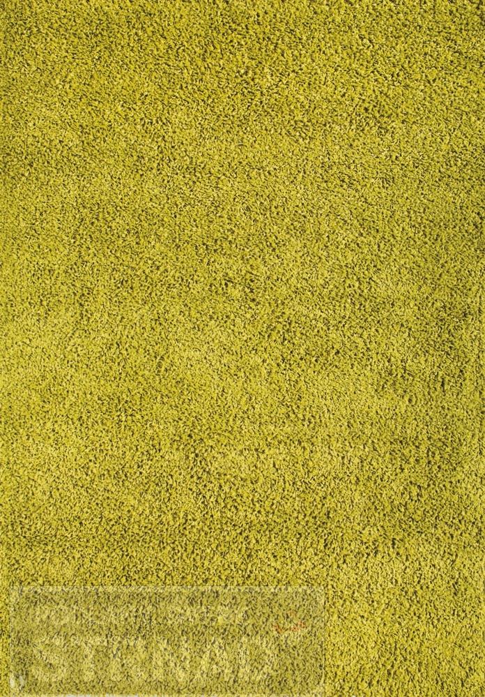 Kusový koberec Efor Shaggy 1903 green 120 x 170 cm